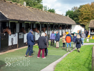 NH051025-88 - Nicky Henderson Stable Visit